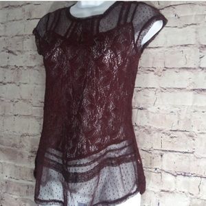 Lace Short Sleeve Top